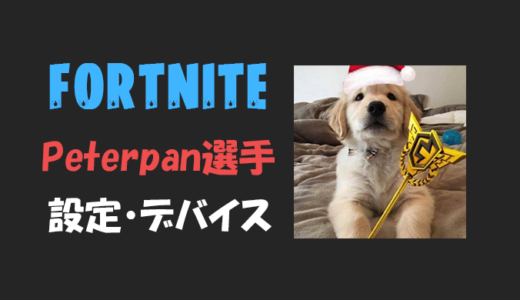 【フォートナイト】peterpan(ピーターパン)選手の設定・感度・年齢等【Fortnite】