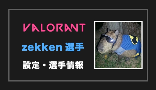 【VALORANT】Zekken(ゼッケン)選手の設定・感度・年齢等